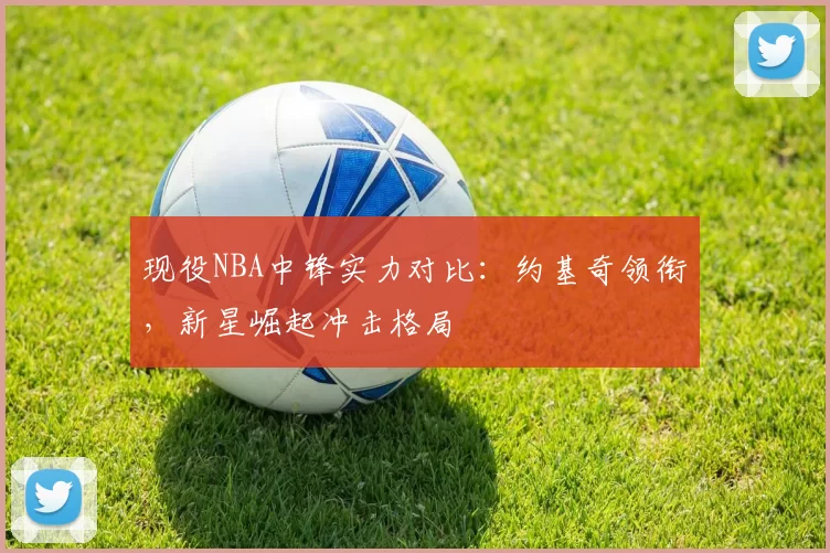 现役NBA中锋实力对比：约基奇领衔，新星崛起冲击格局