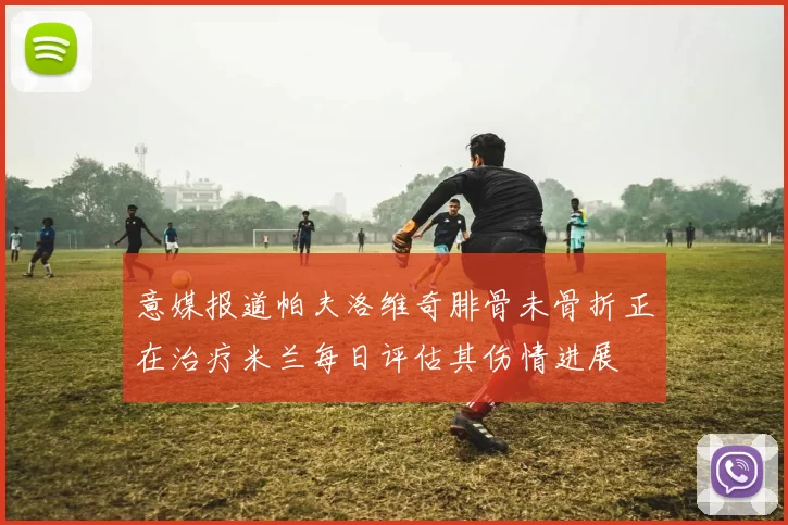 意媒报道帕夫洛维奇腓骨未骨折正在治疗米兰每日评估其伤情进展