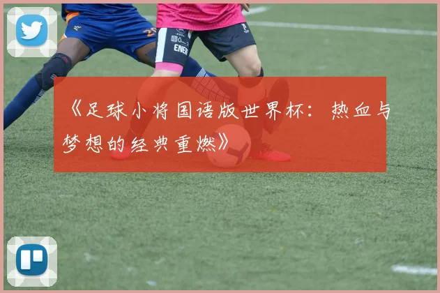 《足球小将国语版世界杯：热血与梦想的经典重燃》