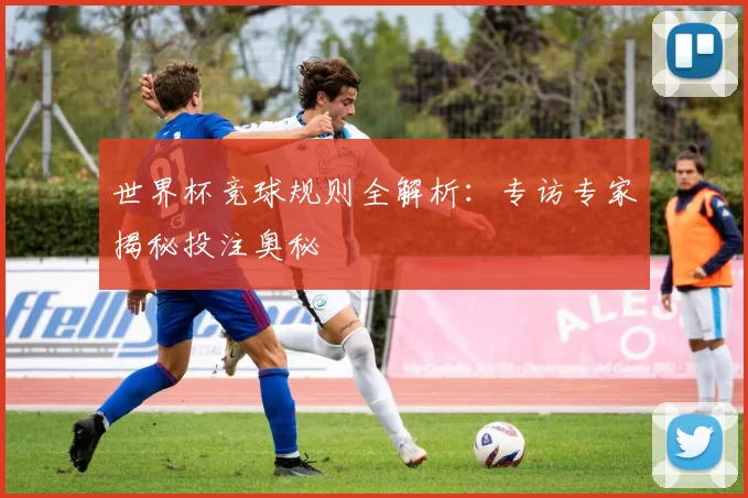 世界杯竞球规则全解析:专访专家揭秘投注奥秘