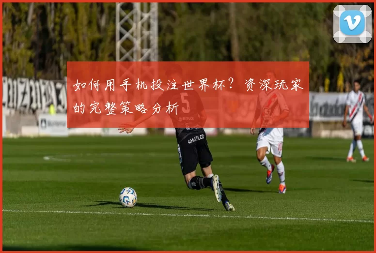 如何用手机投注世界杯？资深玩家的完整策略分析