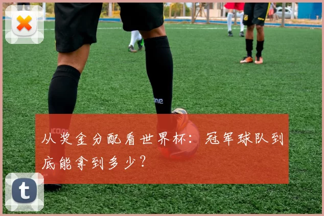 从奖金分配看世界杯：冠军球队到底能拿到多少？