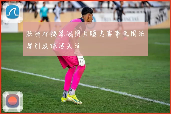欧洲杯揭幕战图片曝光赛事氛围浓厚引发球迷关注