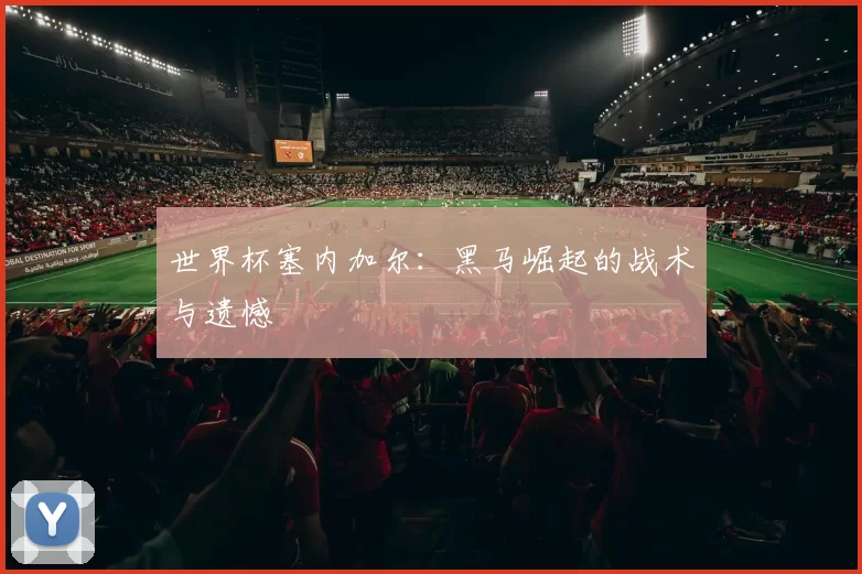 世界杯塞内加尔:黑马崛起的战术与遗憾