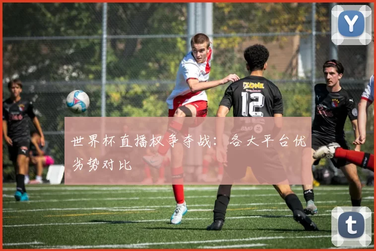 世界杯直播权争夺战：各大平台优劣势对比