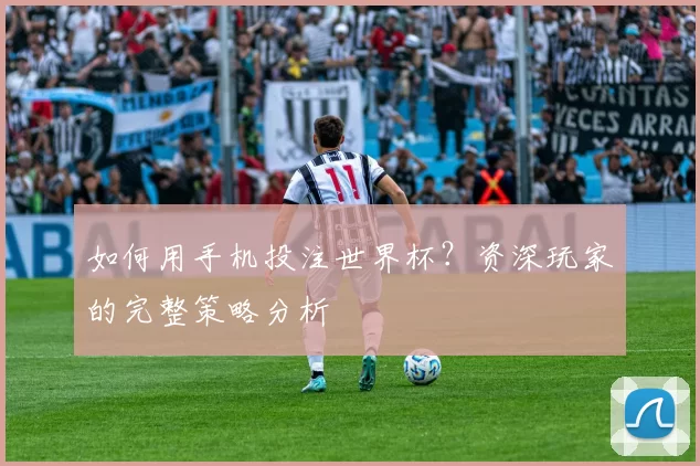 如何用手机投注世界杯？资深玩家的完整策略分析