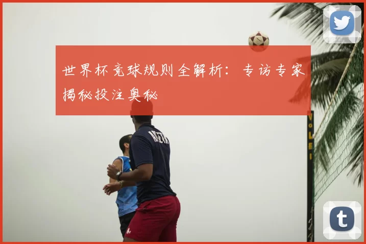 世界杯竞球规则全解析：专访专家揭秘投注奥秘