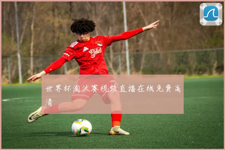 世界杯淘汰赛视频直播在线免费高清