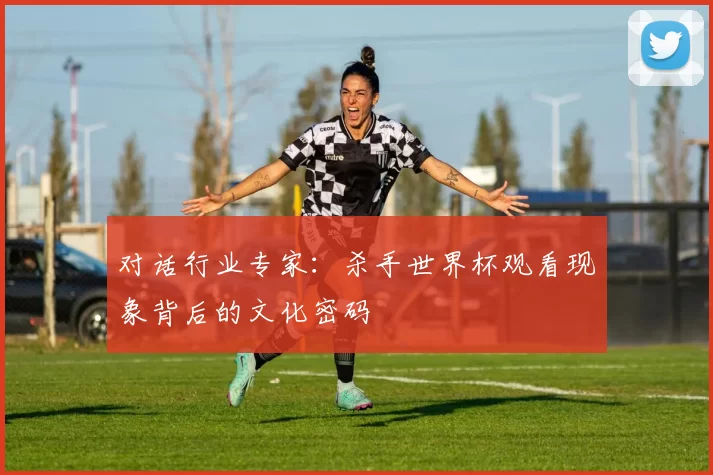 对话行业专家：杀手世界杯观看现象背后的文化密码
