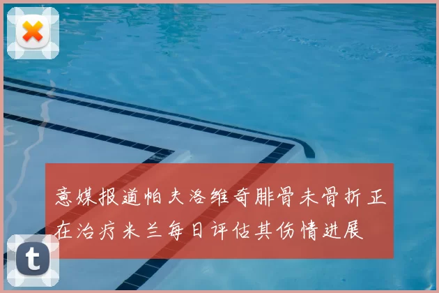 意媒报道帕夫洛维奇腓骨未骨折正在治疗米兰每日评估其伤情进展