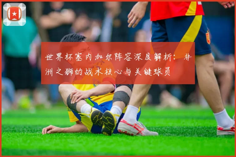 世界杯塞内加尔阵容深度解析:非洲之狮的战术核心与关键球员