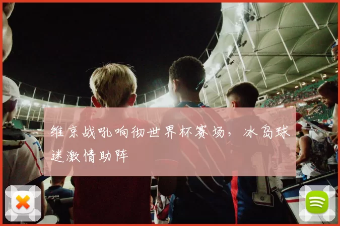 维京战吼响彻世界杯赛场,冰岛球迷激情助阵